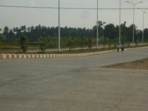 DSC03225