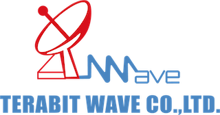 Terabit Wave